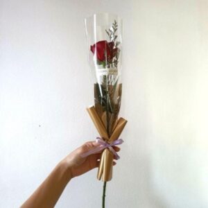 Single red rose Bouquet warped with Golden and transparent premium paper.