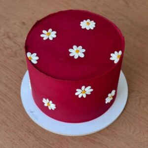 Crimson Daisy Symphony